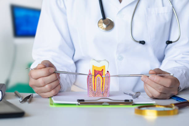 Best Emergency Dental Extractions in The Homesteads, TX